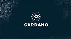 Cardano钱包是什么？它的热钱包与冷钱包有何区别？